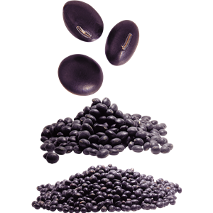 Kidney beans PNG-56924